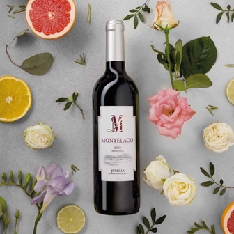 Вино 0,75 л Montelago Monastrell сухе червоне 13% об скл/пл Іспанія 